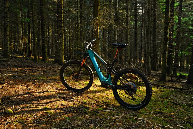 e-MTB Reisen