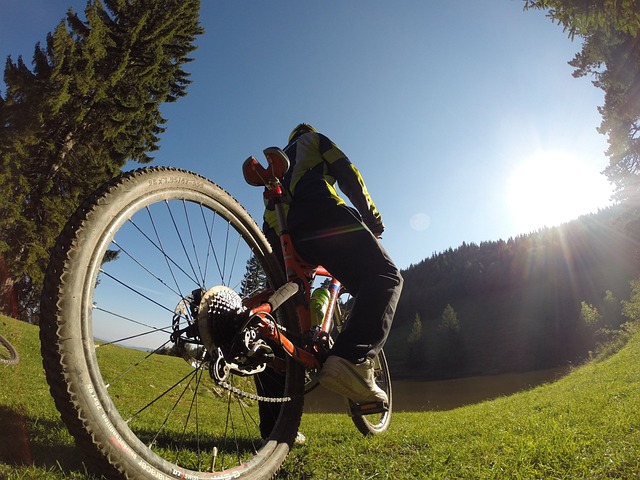 MTB Fahtechnik Kurse